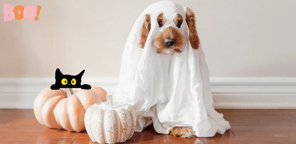 15 Trending Dog Halloween Costume Ideas 2024