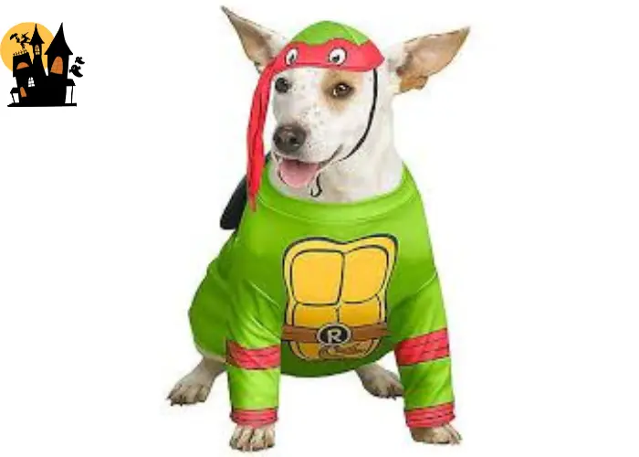 Ninja Turtle