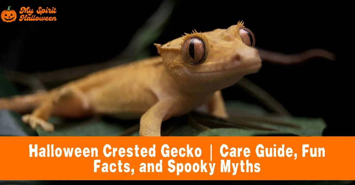 Halloween Crested Gecko