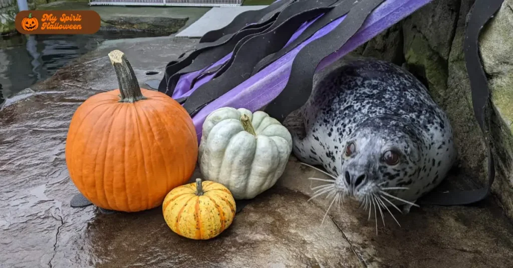 Halloween Spooktacular at the Aquarium of the Pacific