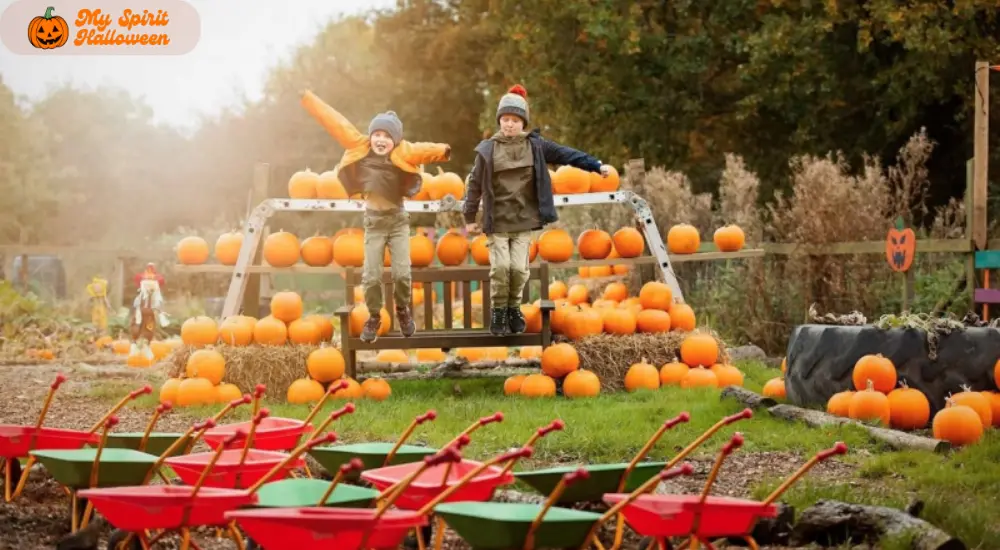 Pumpkin Patch Pantomime