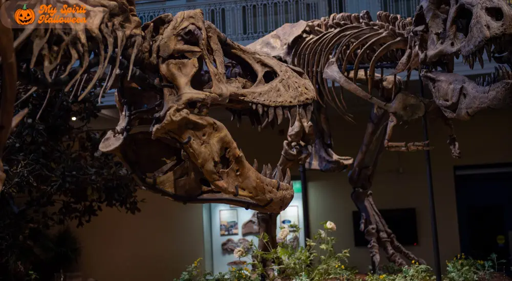 The Haunted Museum at Carnegie Museum of Natural History